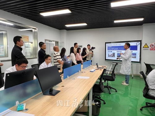 從“一”到“百” 內(nèi)江以技術(shù)咨詢?yōu)橛曷?，讓?chuàng)新種子長成產(chǎn)業(yè)森林